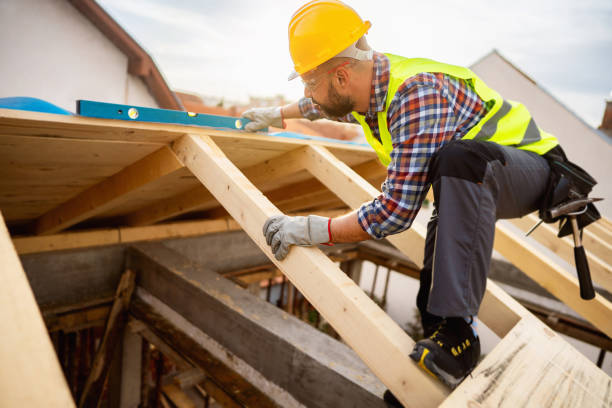 Roof Gutter Cleaning in Spirit Lake, IA